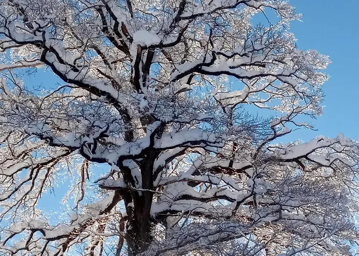 Montanea Apartman Tschagguns